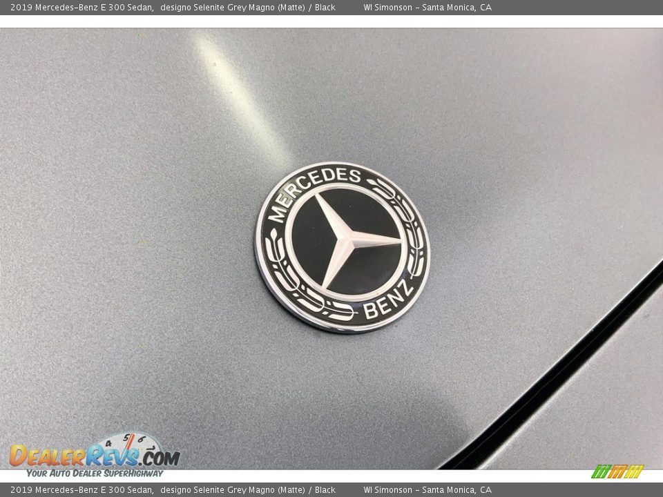 2019 Mercedes-Benz E 300 Sedan designo Selenite Grey Magno (Matte) / Black Photo #30