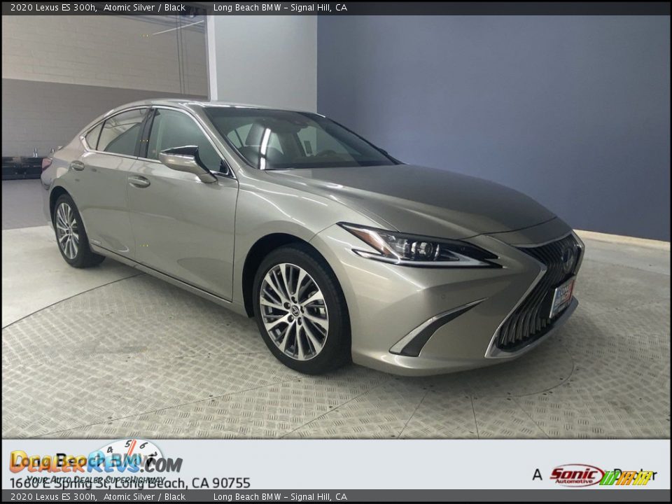 2020 Lexus ES 300h Atomic Silver / Black Photo #1