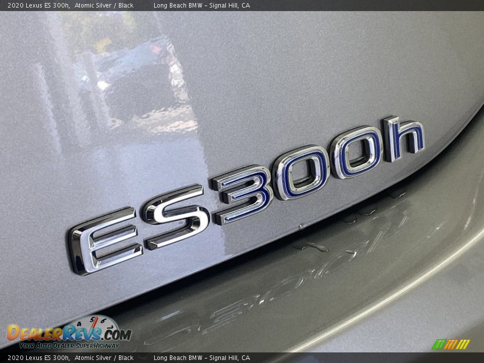 2020 Lexus ES 300h Atomic Silver / Black Photo #11