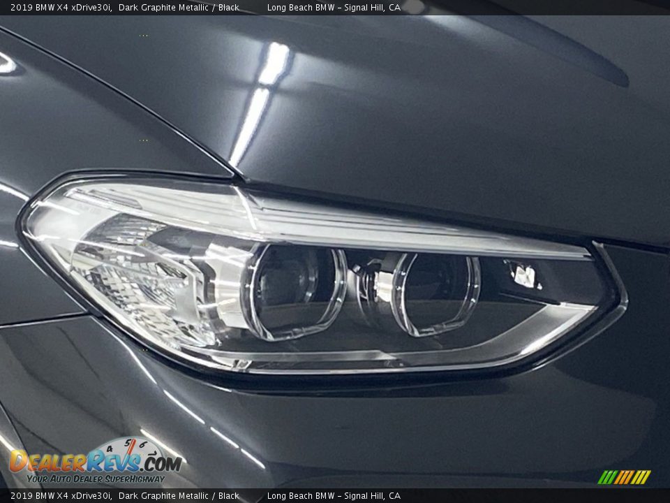 2019 BMW X4 xDrive30i Dark Graphite Metallic / Black Photo #6
