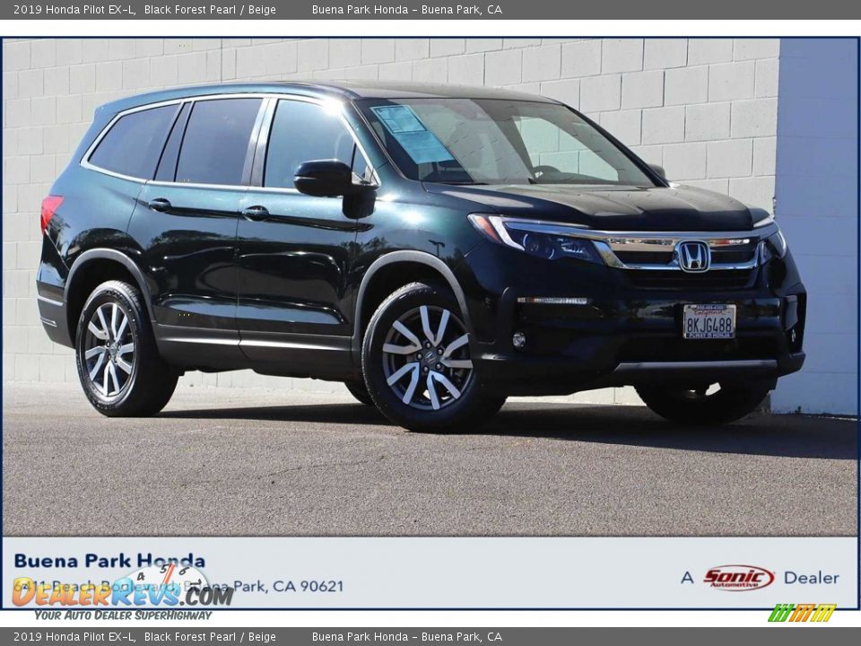 2019 Honda Pilot EX-L Black Forest Pearl / Beige Photo #1