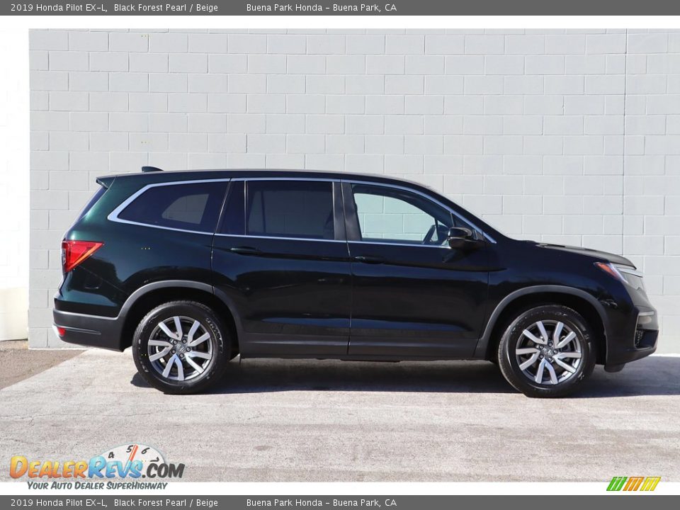 2019 Honda Pilot EX-L Black Forest Pearl / Beige Photo #4