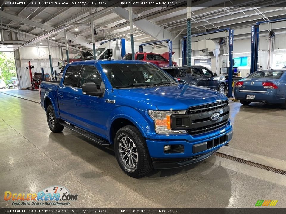 2019 Ford F150 XLT SuperCrew 4x4 Velocity Blue / Black Photo #3