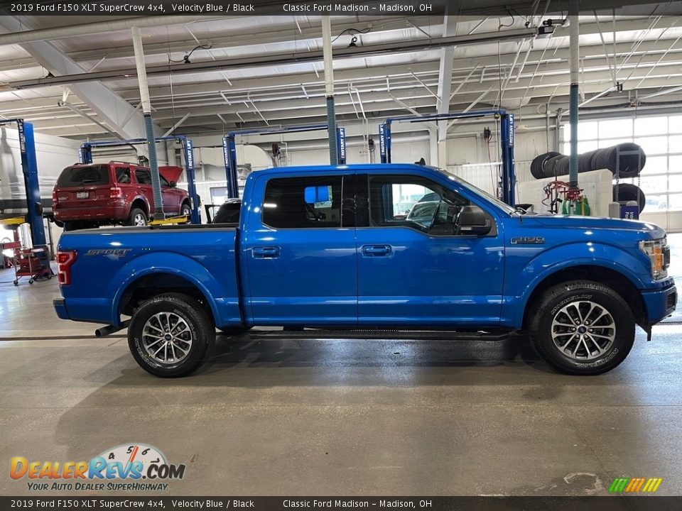 2019 Ford F150 XLT SuperCrew 4x4 Velocity Blue / Black Photo #4