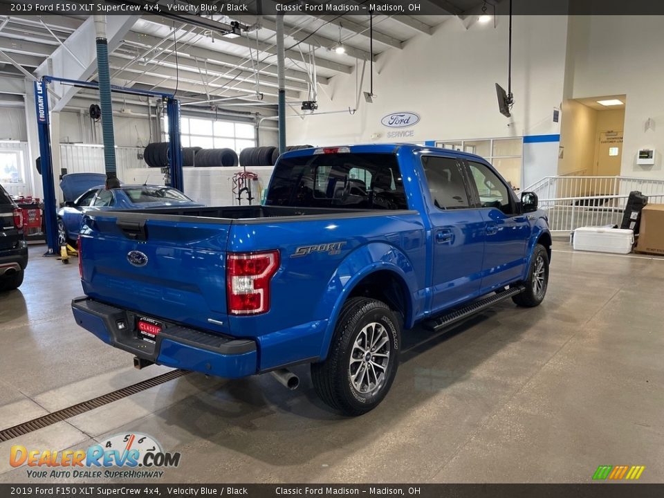 2019 Ford F150 XLT SuperCrew 4x4 Velocity Blue / Black Photo #5