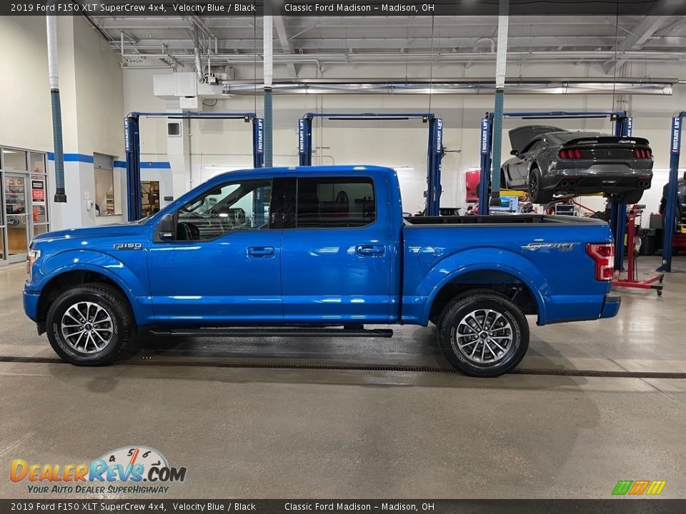 2019 Ford F150 XLT SuperCrew 4x4 Velocity Blue / Black Photo #8