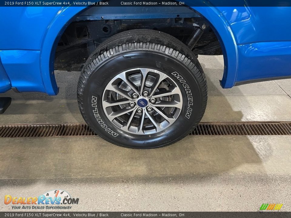 2019 Ford F150 XLT SuperCrew 4x4 Velocity Blue / Black Photo #15