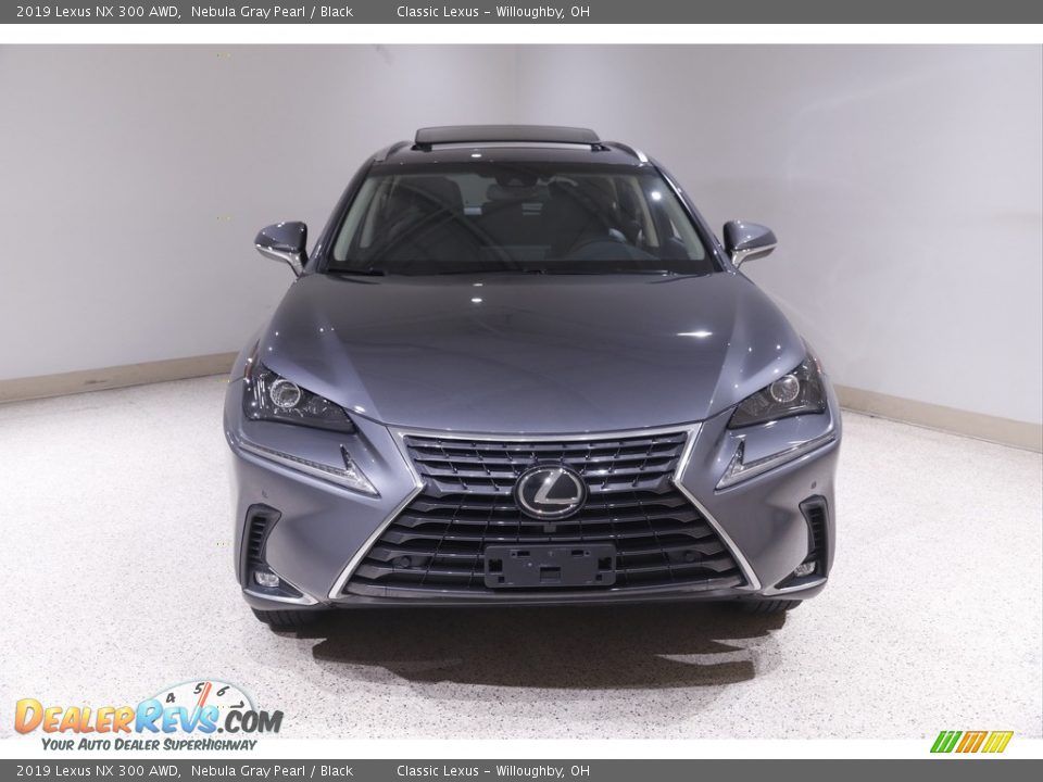 2019 Lexus NX 300 AWD Nebula Gray Pearl / Black Photo #2