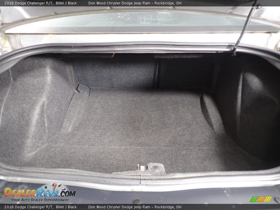 2018 Dodge Challenger R/T Billet / Black Photo #10
