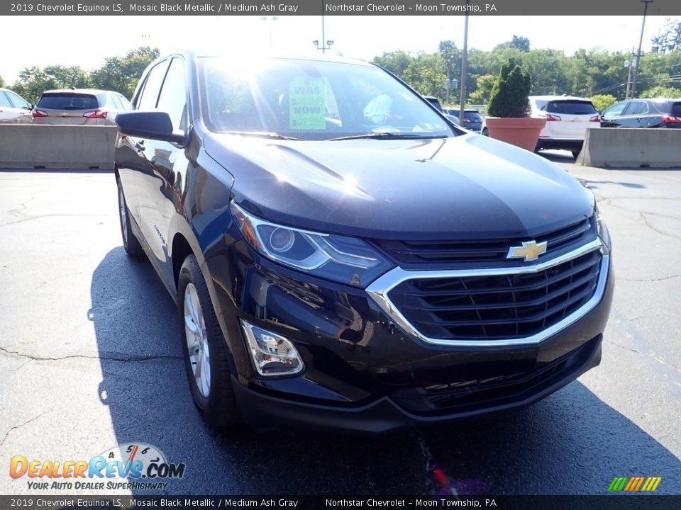 2019 Chevrolet Equinox LS Mosaic Black Metallic / Medium Ash Gray Photo #12