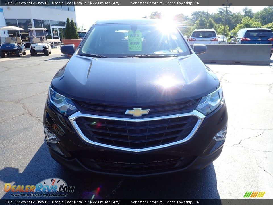 2019 Chevrolet Equinox LS Mosaic Black Metallic / Medium Ash Gray Photo #13