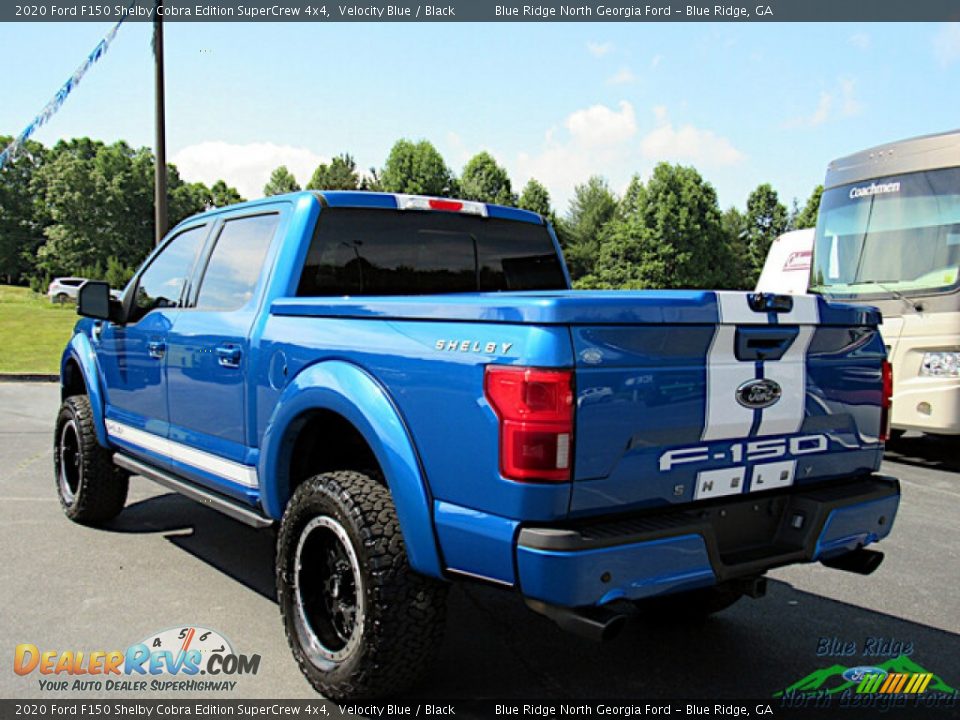 2020 Ford F150 Shelby Cobra Edition SuperCrew 4x4 Velocity Blue / Black Photo #3