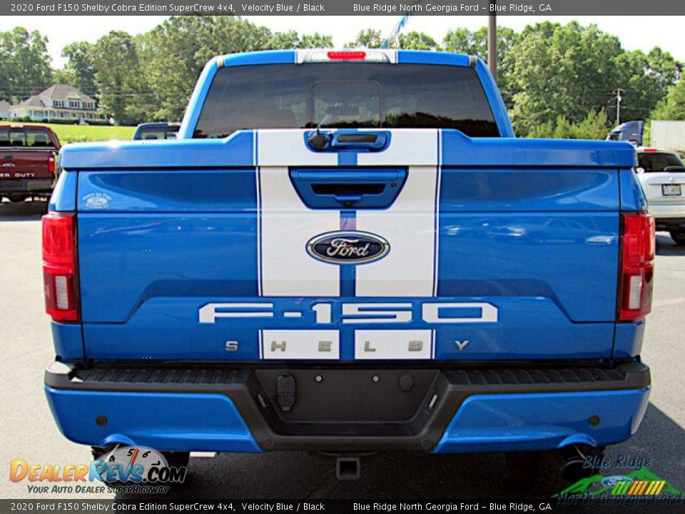 2020 Ford F150 Shelby Cobra Edition SuperCrew 4x4 Velocity Blue / Black Photo #4