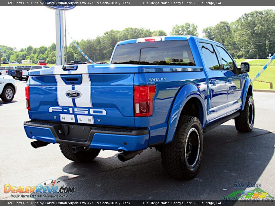 2020 Ford F150 Shelby Cobra Edition SuperCrew 4x4 Velocity Blue / Black Photo #5