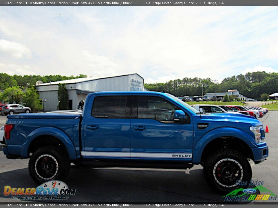 2020 Ford F150 Shelby Cobra Edition SuperCrew 4x4 Velocity Blue / Black Photo #6