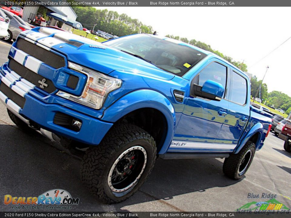 2020 Ford F150 Shelby Cobra Edition SuperCrew 4x4 Velocity Blue / Black Photo #31