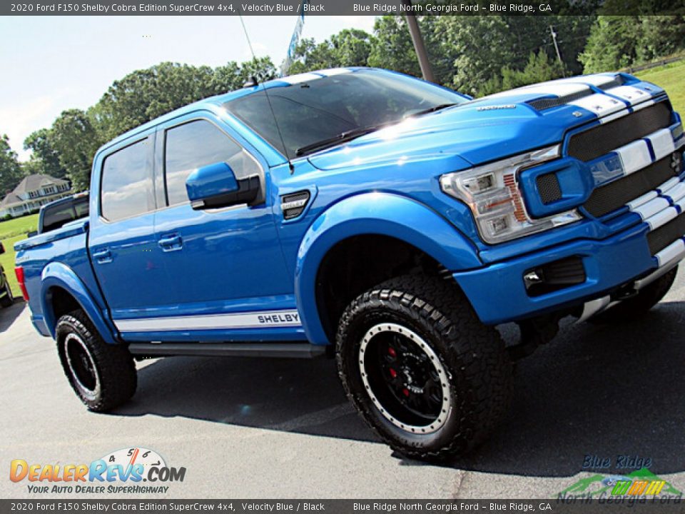 2020 Ford F150 Shelby Cobra Edition SuperCrew 4x4 Velocity Blue / Black Photo #32