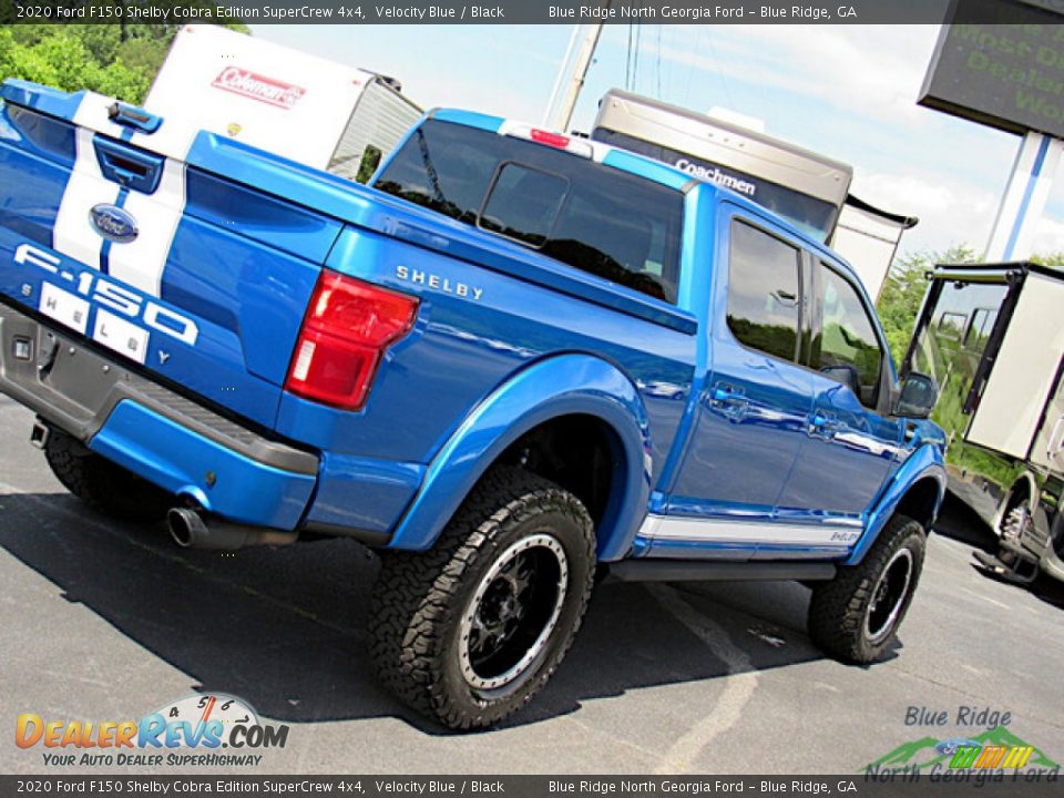 2020 Ford F150 Shelby Cobra Edition SuperCrew 4x4 Velocity Blue / Black Photo #33