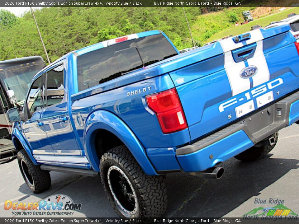 2020 Ford F150 Shelby Cobra Edition SuperCrew 4x4 Velocity Blue / Black Photo #34