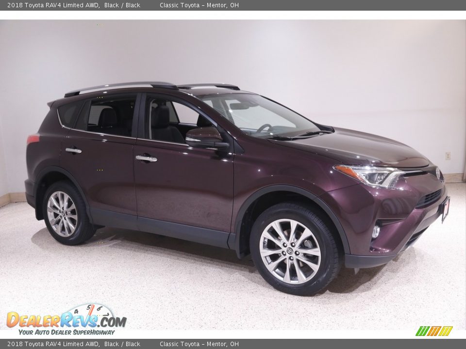 2018 Toyota RAV4 Limited AWD Black / Black Photo #1