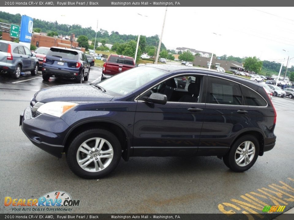 Royal Blue Pearl 2010 Honda CR-V EX AWD Photo #7