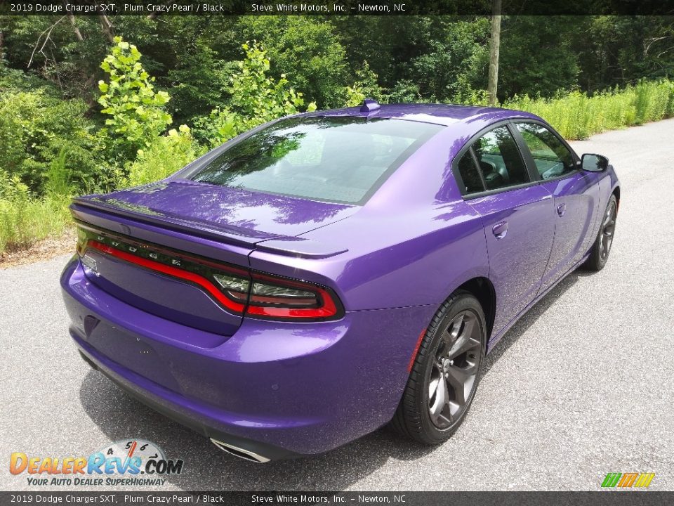 2019 Dodge Charger SXT Plum Crazy Pearl / Black Photo #6