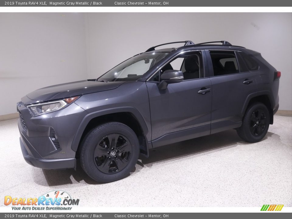 2019 Toyota RAV4 XLE Magnetic Gray Metallic / Black Photo #3