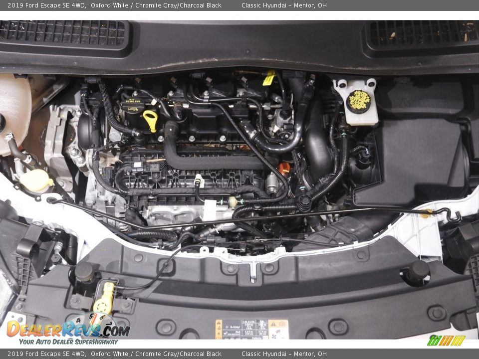 2019 Ford Escape SE 4WD Oxford White / Chromite Gray/Charcoal Black Photo #18
