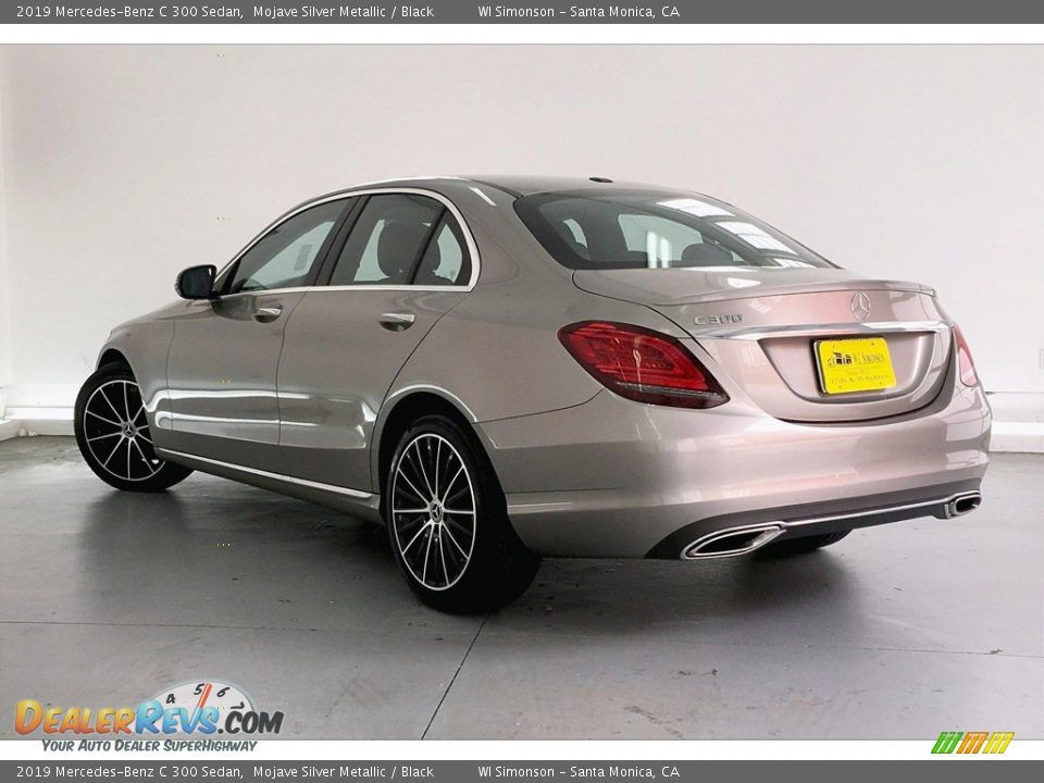 2019 Mercedes-Benz C 300 Sedan Mojave Silver Metallic / Black Photo #10