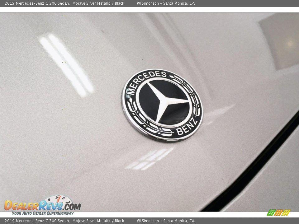 2019 Mercedes-Benz C 300 Sedan Mojave Silver Metallic / Black Photo #33