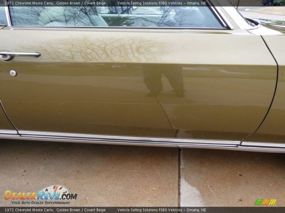 Door Panel of 1972 Chevrolet Monte Carlo  Photo #11