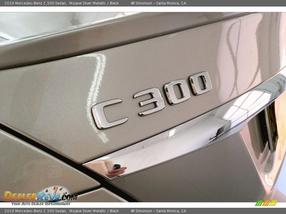 2019 Mercedes-Benz C 300 Sedan Mojave Silver Metallic / Black Photo #7