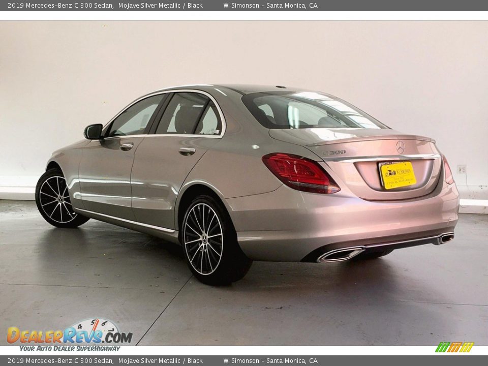 2019 Mercedes-Benz C 300 Sedan Mojave Silver Metallic / Black Photo #10