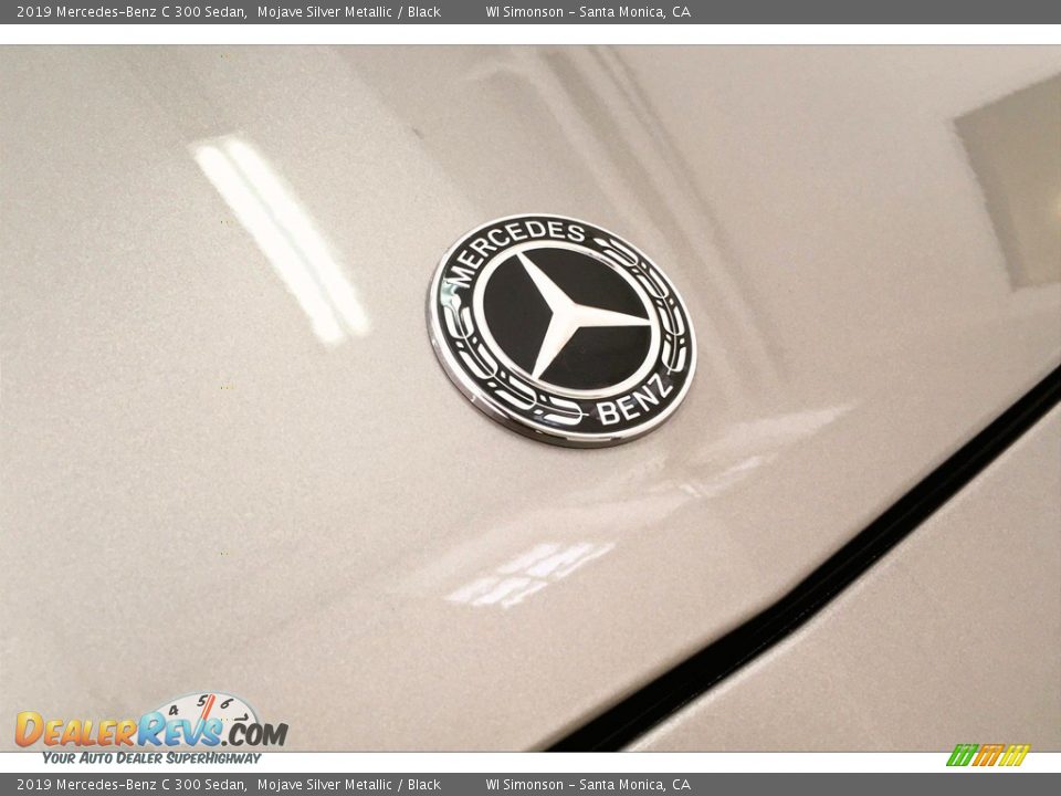 2019 Mercedes-Benz C 300 Sedan Mojave Silver Metallic / Black Photo #33