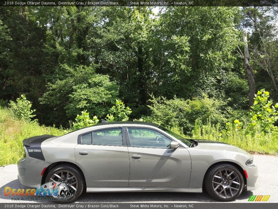 Destroyer Gray 2018 Dodge Charger Daytona Photo #6