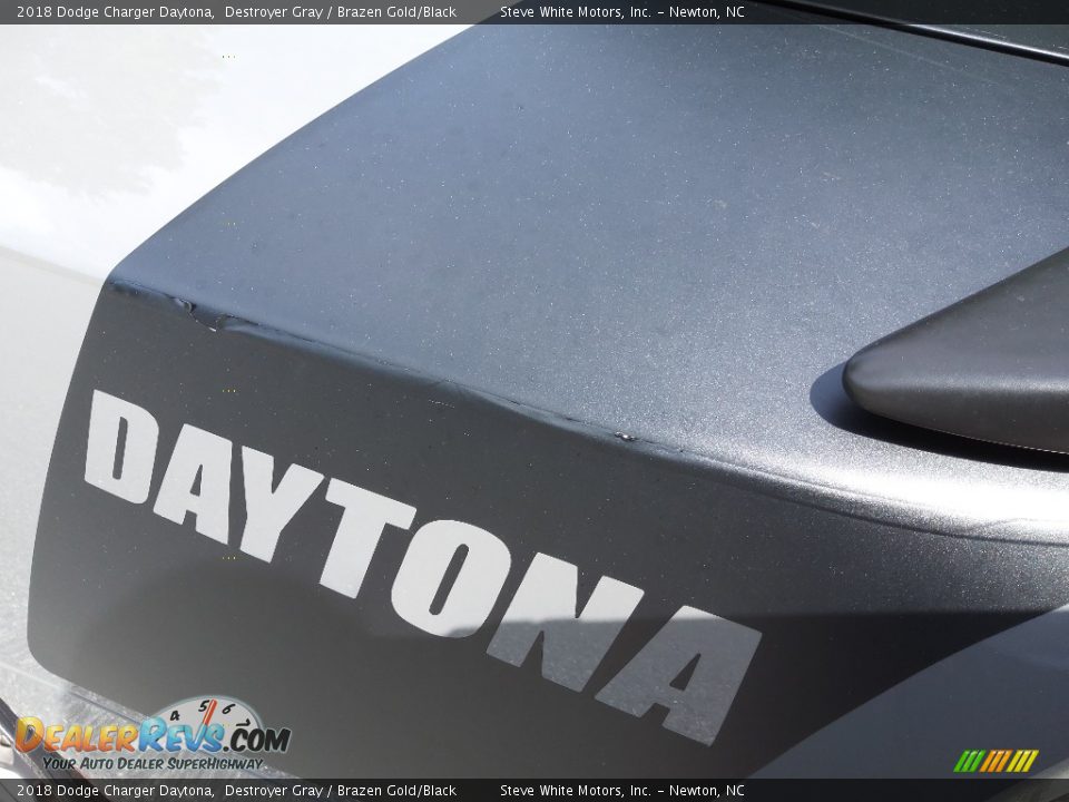 2018 Dodge Charger Daytona Logo Photo #10