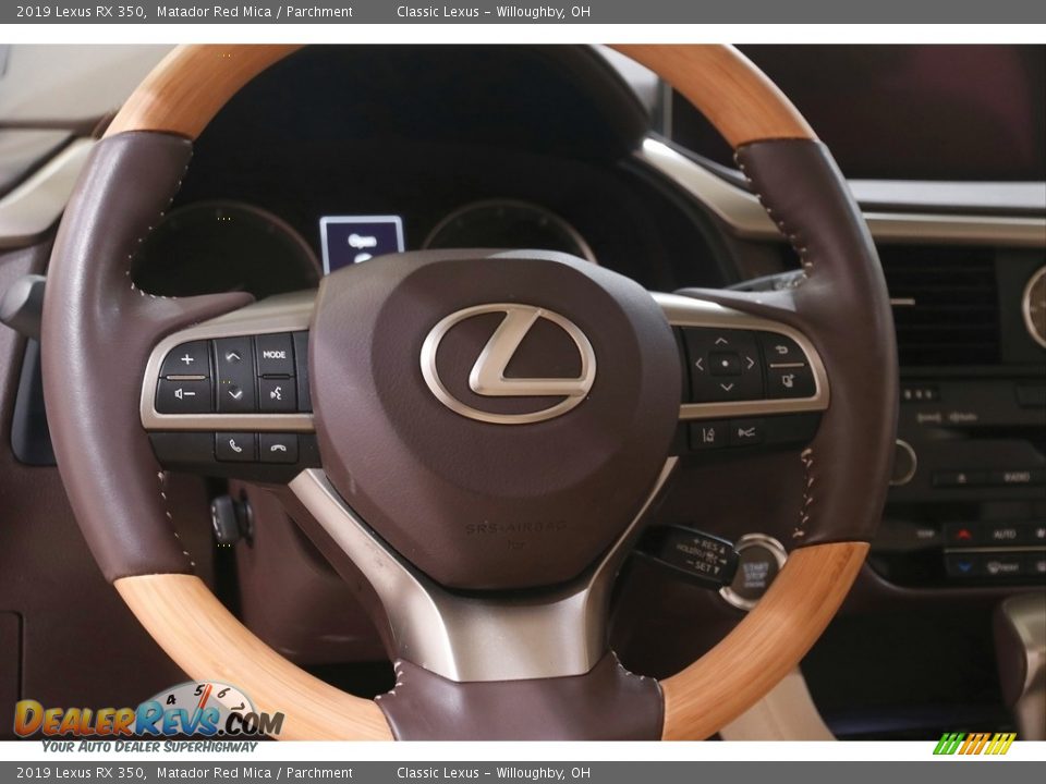2019 Lexus RX 350 Steering Wheel Photo #7