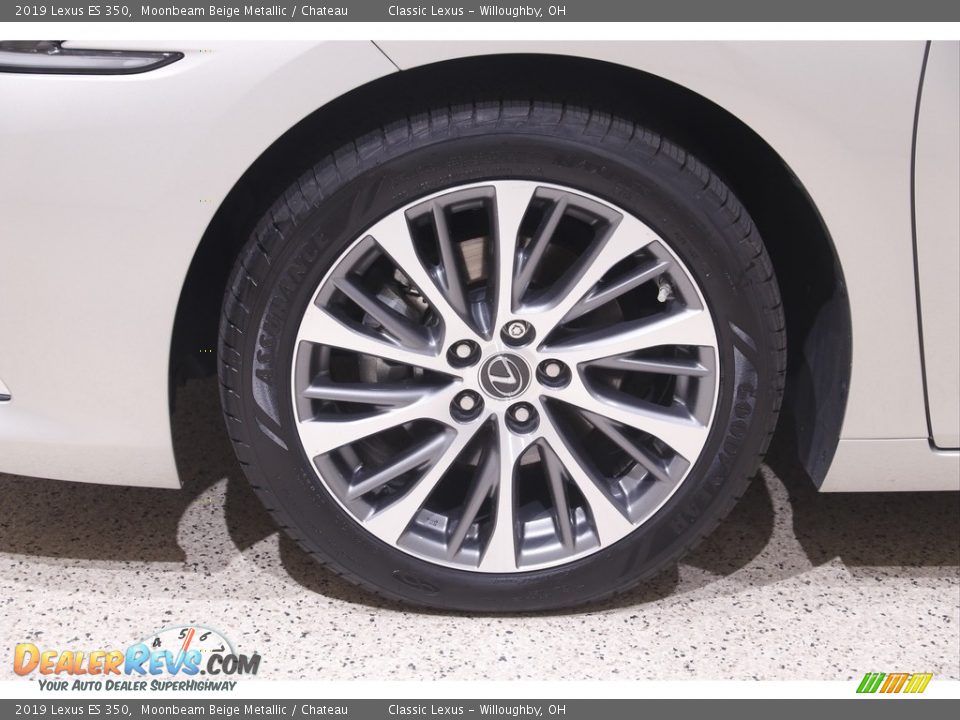 2019 Lexus ES 350 Moonbeam Beige Metallic / Chateau Photo #22