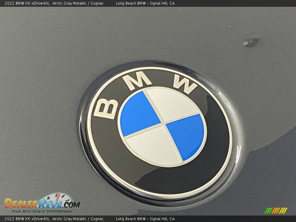 2022 BMW X6 xDrive40i Arctic Gray Metallic / Cognac Photo #5
