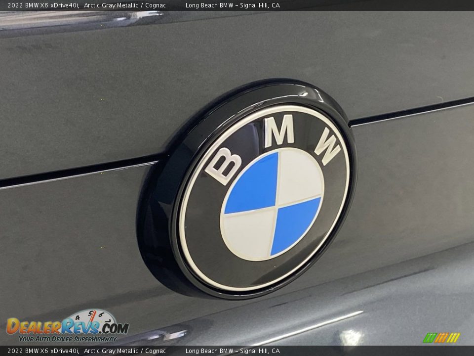 2022 BMW X6 xDrive40i Arctic Gray Metallic / Cognac Photo #7