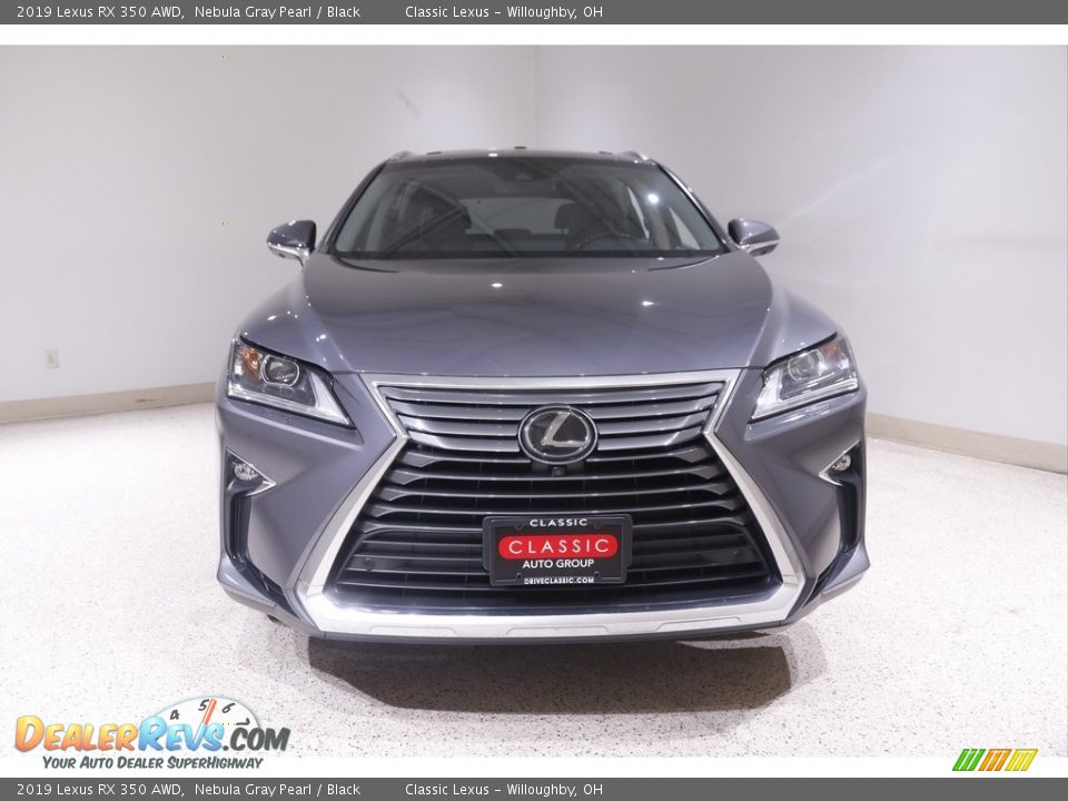 2019 Lexus RX 350 AWD Nebula Gray Pearl / Black Photo #2