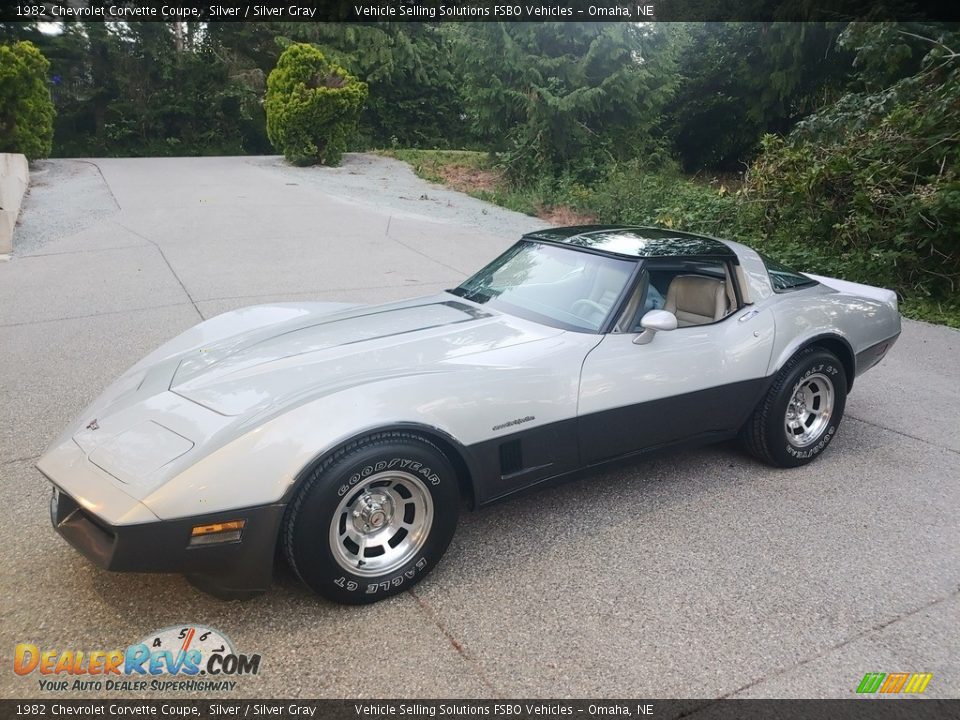 Silver 1982 Chevrolet Corvette Coupe Photo #1