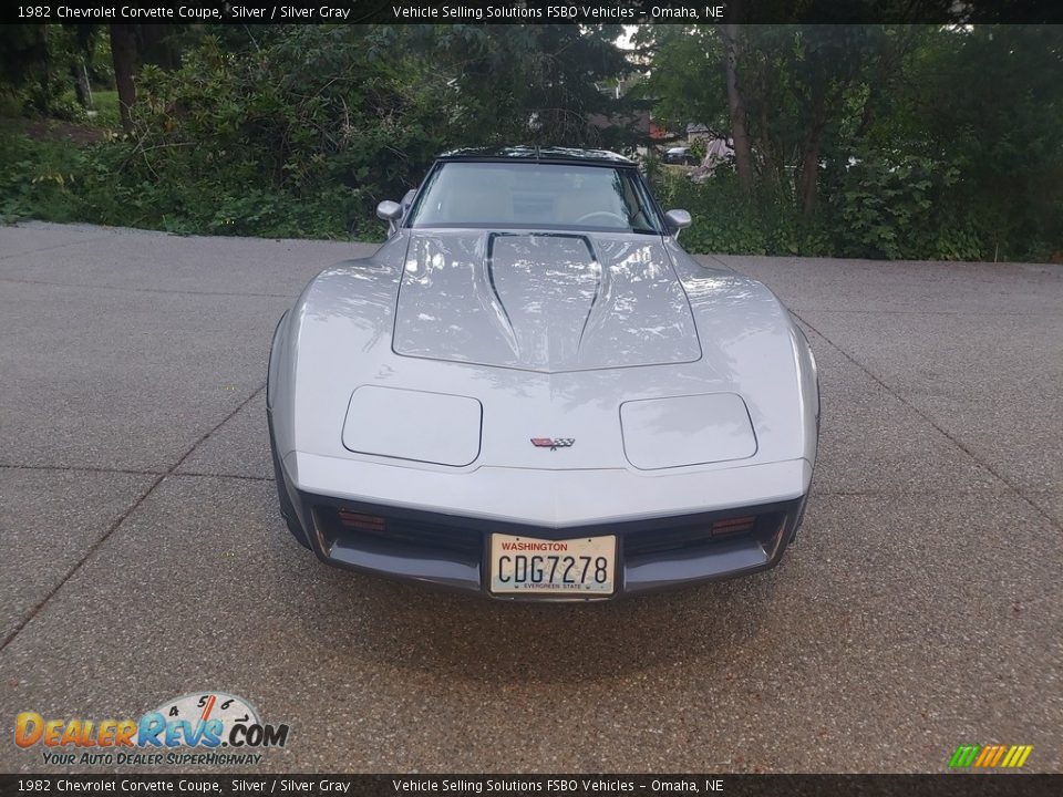 1982 Chevrolet Corvette Coupe Silver / Silver Gray Photo #4