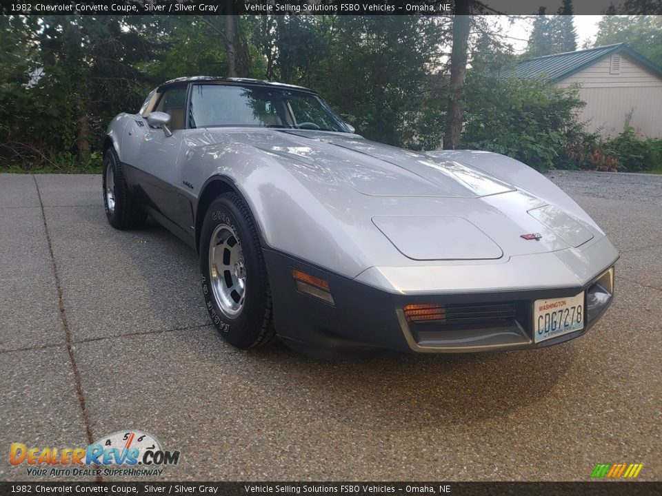 1982 Chevrolet Corvette Coupe Silver / Silver Gray Photo #5