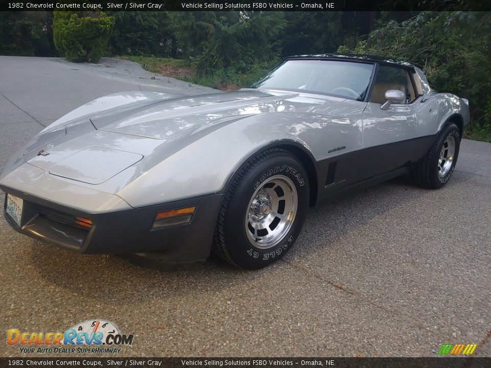 1982 Chevrolet Corvette Coupe Silver / Silver Gray Photo #6