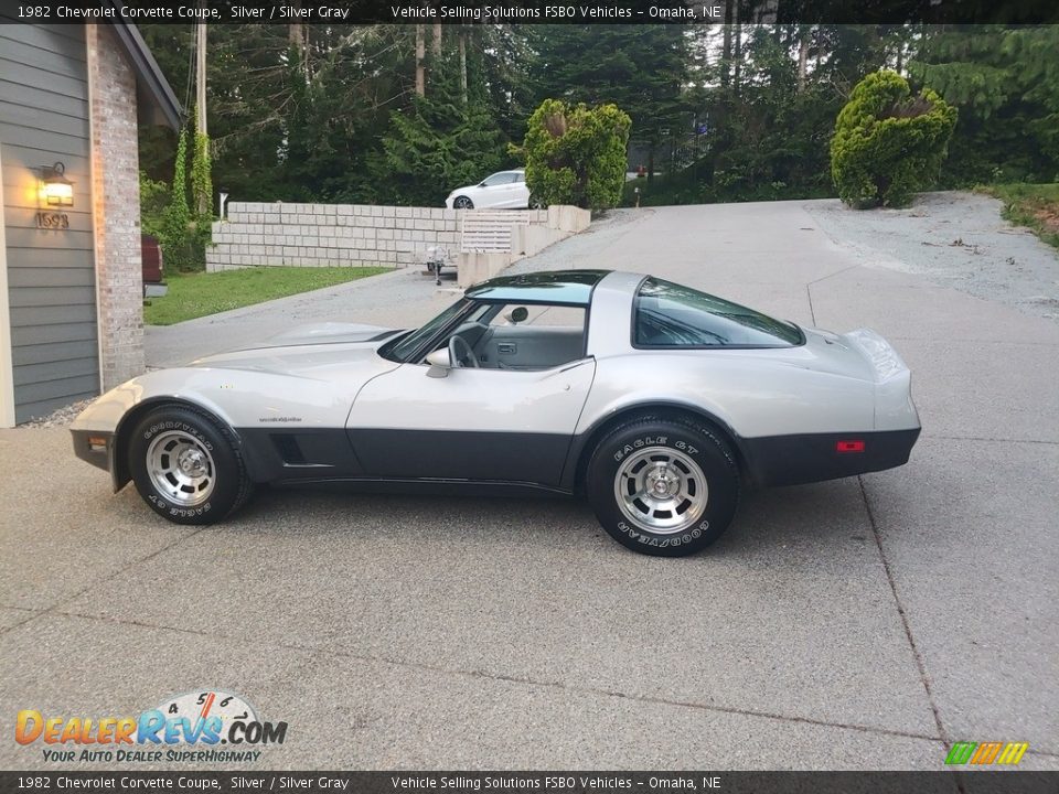 1982 Chevrolet Corvette Coupe Silver / Silver Gray Photo #8