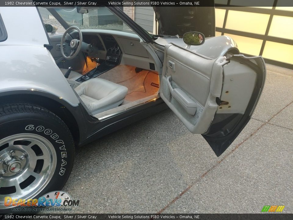 1982 Chevrolet Corvette Coupe Silver / Silver Gray Photo #12