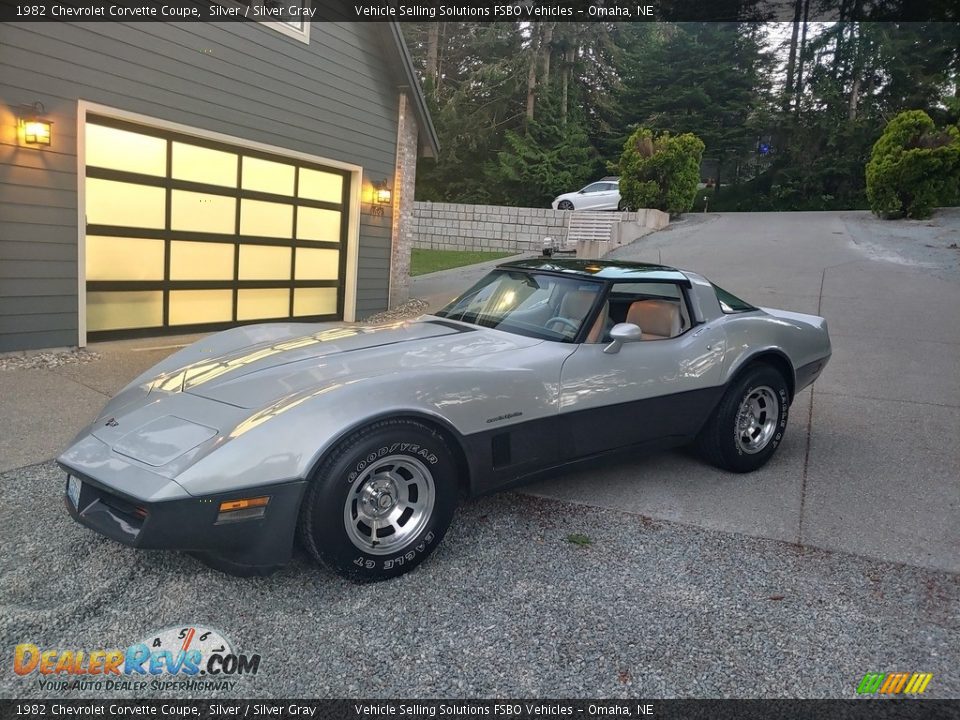 Silver 1982 Chevrolet Corvette Coupe Photo #15