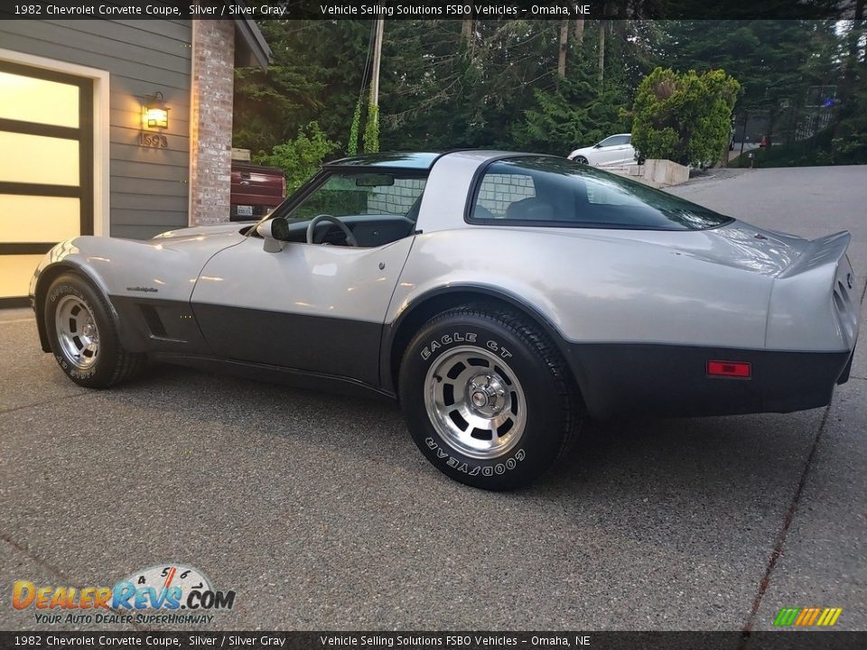 1982 Chevrolet Corvette Coupe Silver / Silver Gray Photo #16