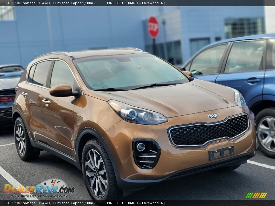 2017 Kia Sportage EX AWD Burnished Copper / Black Photo #3